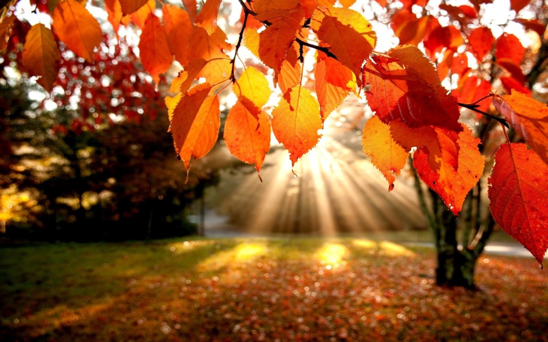 Equinozio d’autunno oggi 21 settembre? No, è domenica 23