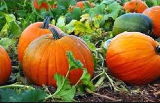 Nel Lecchese halloween arriva in anticipo! FOTO