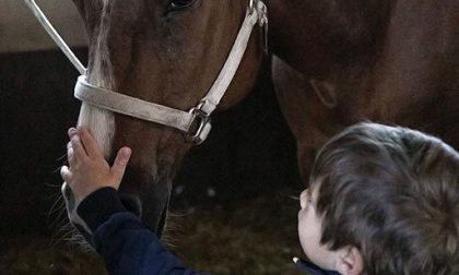 Corsi di psicomotricità dedicati ai bambini al Monsereno Horses