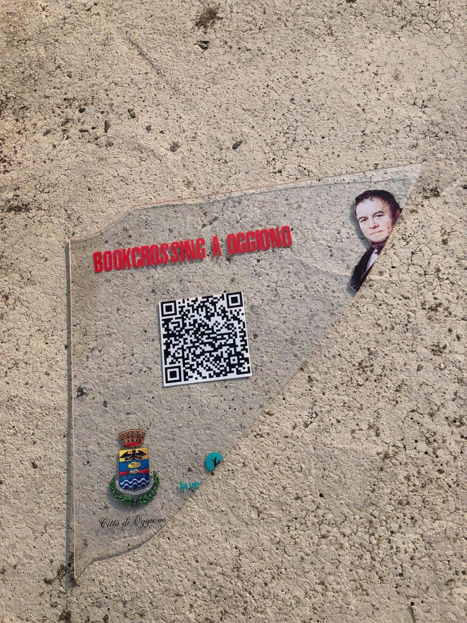 Atti vandalici alla cassetta del bookcrossing