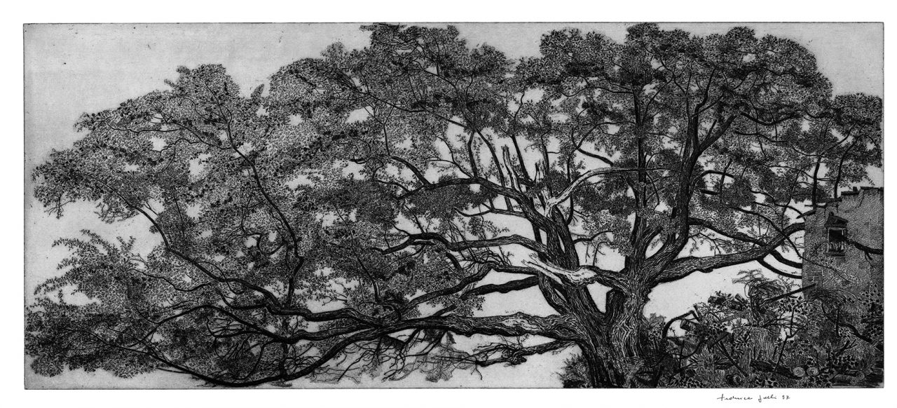 Gli Alberi Monumentali di Federica Galli in mostra a Lecco FOTO