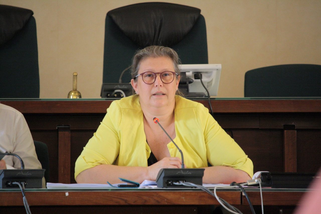 Rimpasto di Giunta| Lo sfogo in rete dell’ex assessore Mazzoleni
