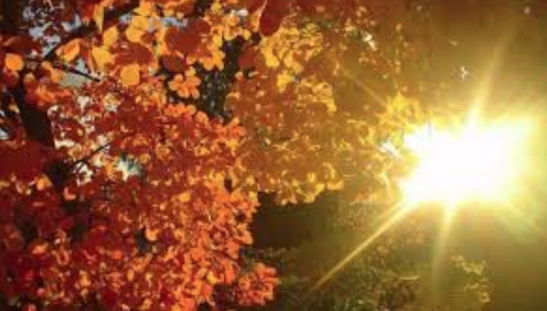 In Brianza nel weekend soleggiato e mite PREVISIONI METEO