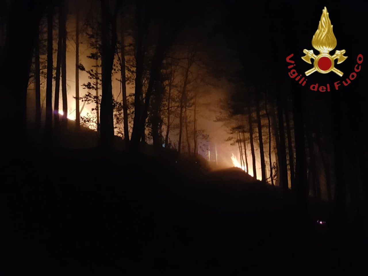 Incendio a Stazzona il bosco va in fiamme FOTO