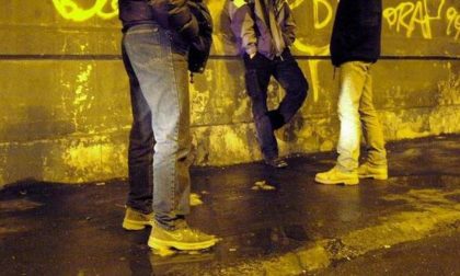 L'onorevole Butti incontra Prefetto e Questore: "Diamo un freno al fenomeno delle baby gang"