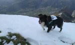 Ul Picozzon: una gara di corsa in montagna a due e quattro zampe (vinta da Coca) FOTO