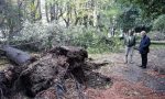 Maltempo: riaperti i parchi pubblici di Lecco