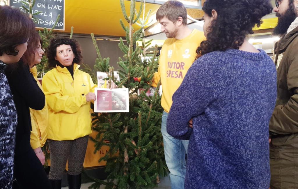 Gli alberi di Natale dai boschi distrutti dal maltempo arrivano all’AgriMercato