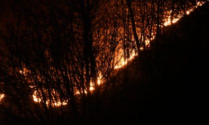 Da Regione il divieto di accensione di fuochi: è allerta incendi boschivi