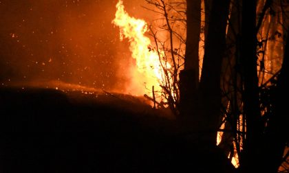 Alto rischio di incendio boschivo, ordinanza a Lecco