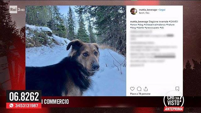 Mattia Mingarelli scomparso in Valmalenco, sul caso anche “Chi l’ha visto?”