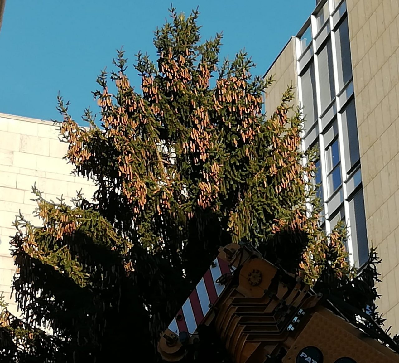 Luminarie natalizie: domani sera  si accende l’albero in centro Lecco