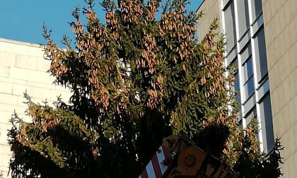 Luminarie natalizie: domani sera  si accende l'albero in centro Lecco