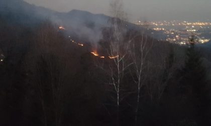 Incendio bosco in Brianza FOTO