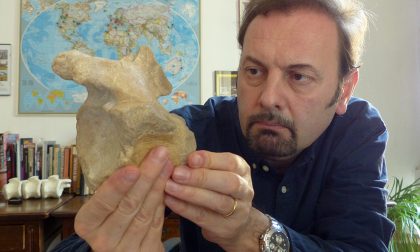 In Lombardia il più antico dinosauro carnivoro. E il suo studio porta la firma di un brianzolo