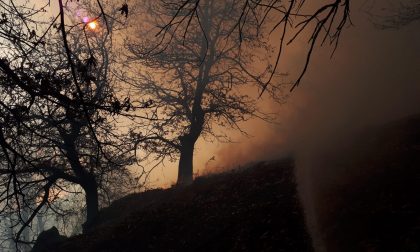 Cresce l'allerta incendi, la Protezione Civile: "vietate i fuochi"