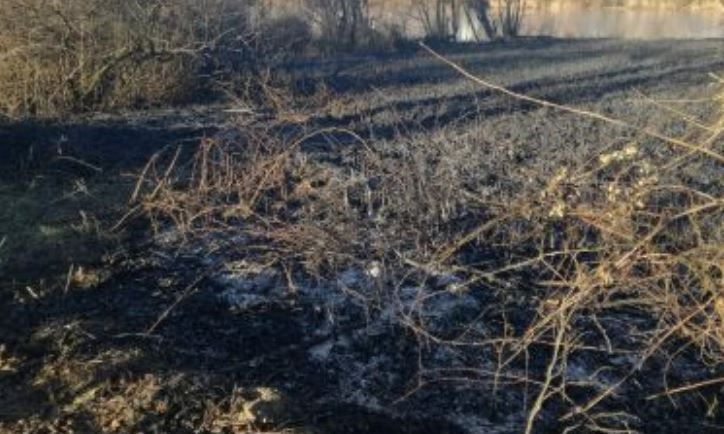 E’ caccia ai piromani che bruciano i canneti
