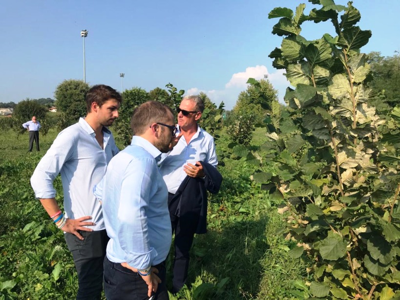 La Brianza e la Lombardia scommettono… sulle nocciole