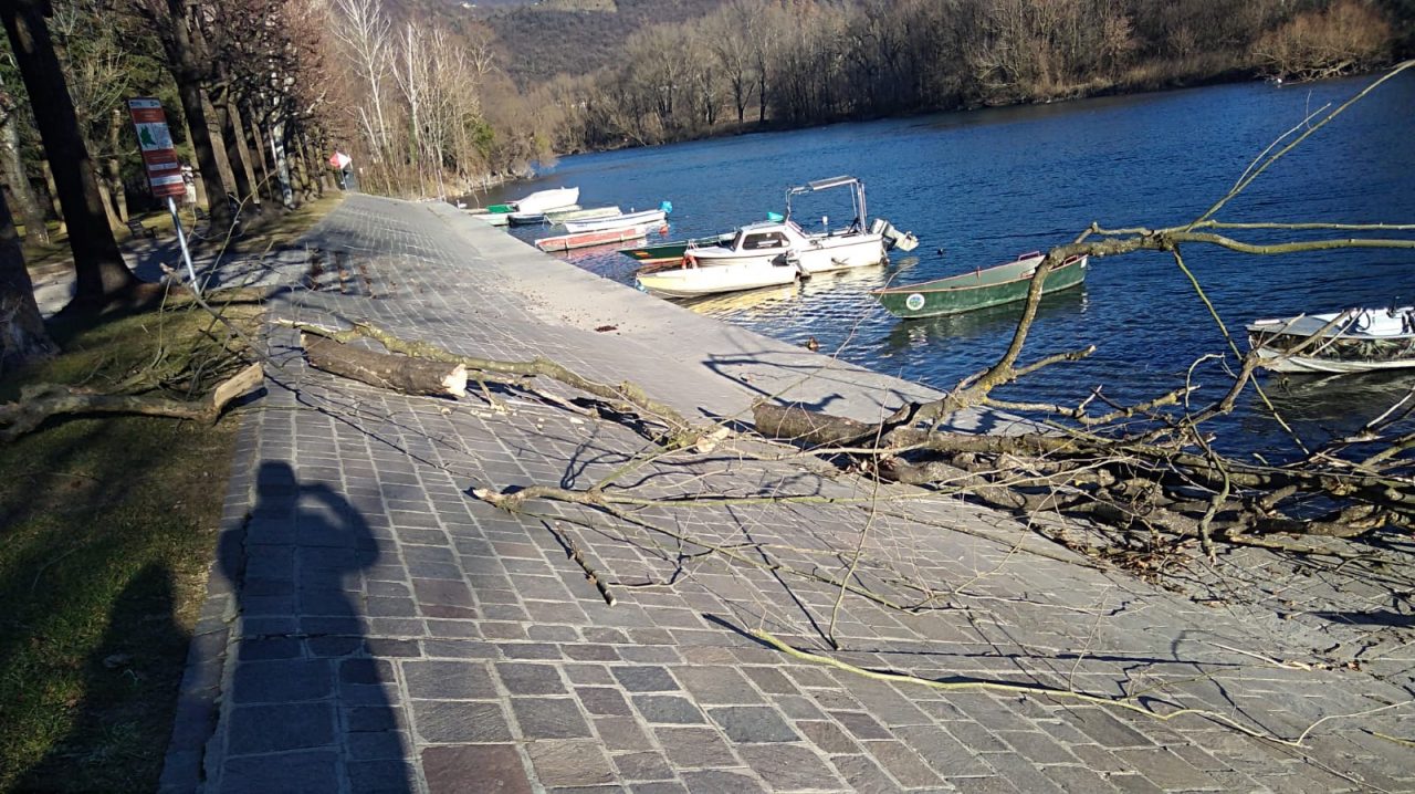Vento nel Lecchese e in Brianza, danni e alberi caduti