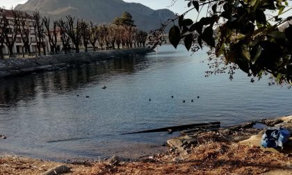 Movimento Cinque Stelle: "La Lombardia si mobiliti per il lago di Como"