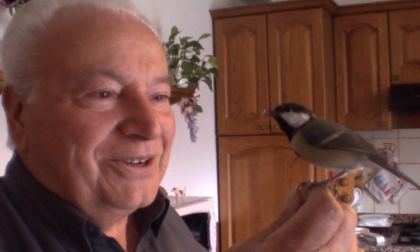 La curiosa amicizia tra un pensionato e un uccellino FOTO