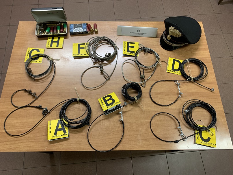 Strangolava gli animali per cacciarli, denunciato bracconiere 60enne