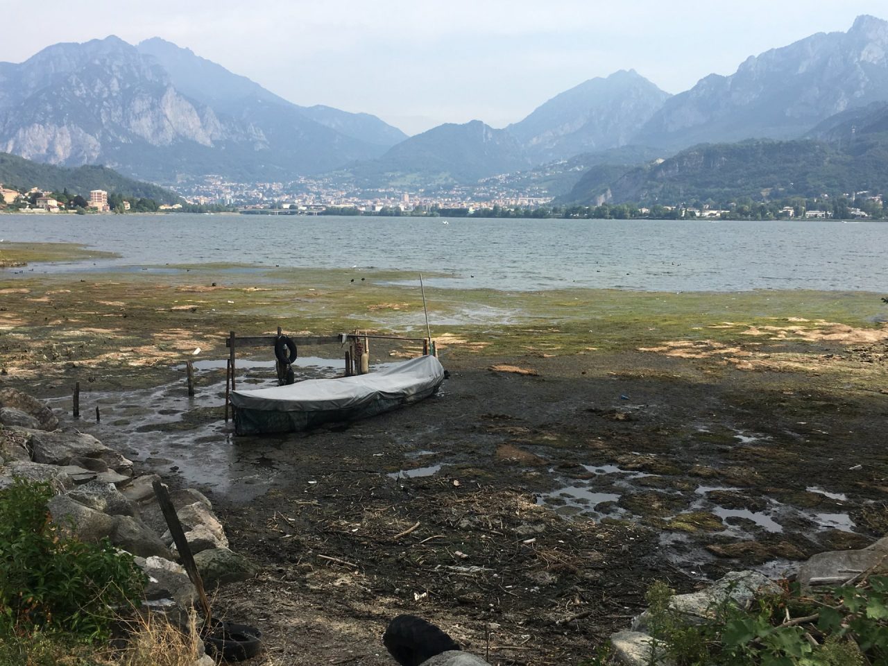 Vertice al Pirellone per eliminare le alghe nel lago di Garlate