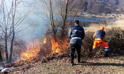 I Vigili del fuoco domano un incendio in zona Lavello FOTO E VIDEO