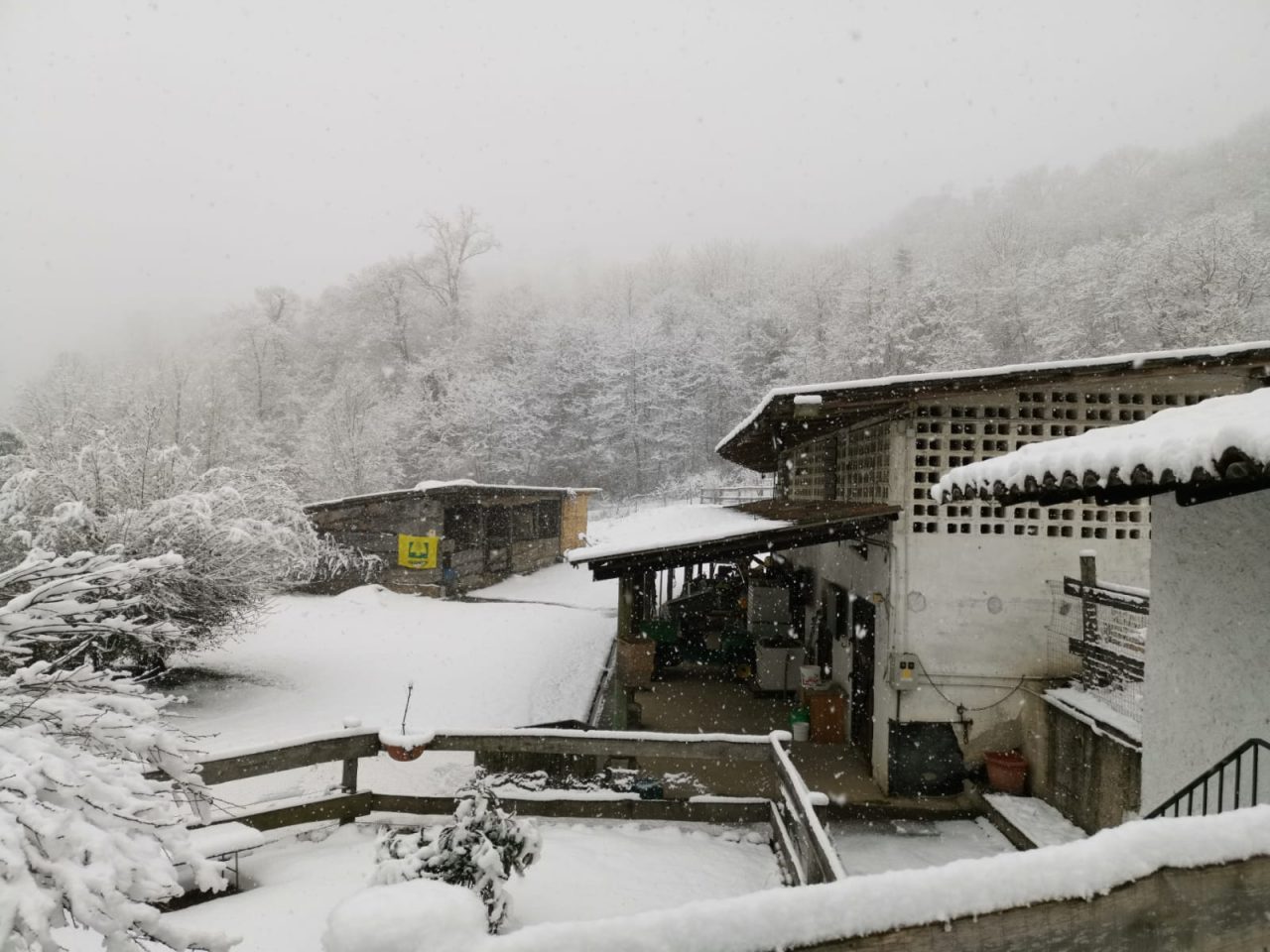 Neve a Lecco e Como, agricoltori al lavoro FOTO