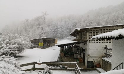 Neve a Lecco e Como, agricoltori al lavoro FOTO