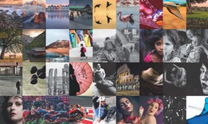 Un po’ di Netweek fra le migliori fotografie del 2018 in mostra a Malpensa