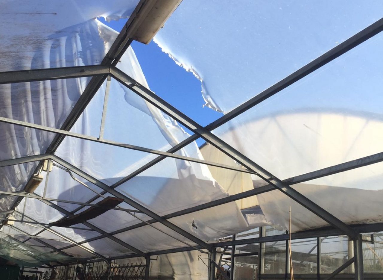 Coldiretti Como-Lecco: serre sfondate e tetti scoperchiati