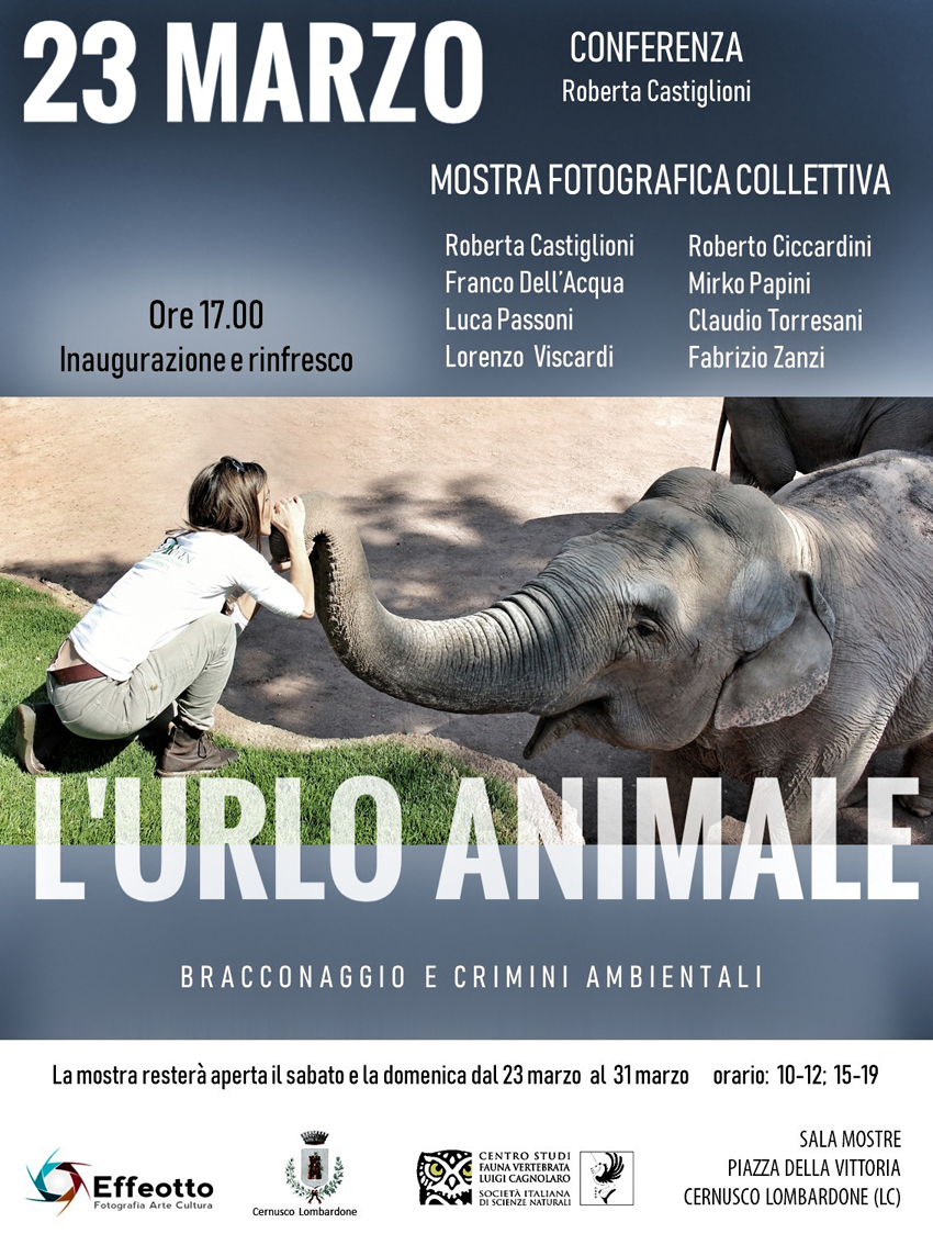 Effeotto presenta “L’urlo animale”