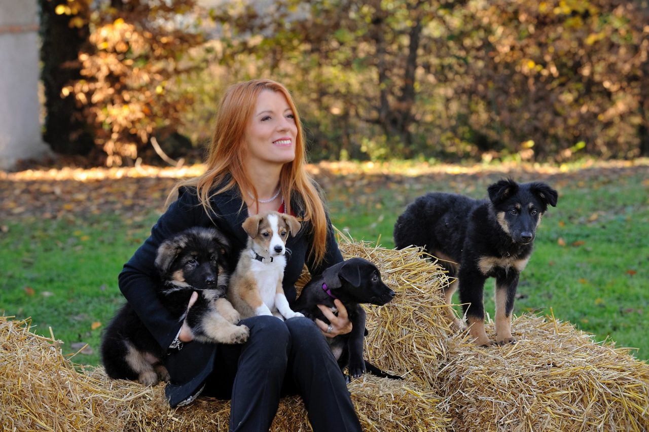 Dalla parte degli animali: i cuccioli tornano in tv dopo le Europee