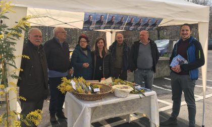 Valgreghentino: più di 300 mimose regalate dal gruppo "Rinnovamento e Partecipazione" FOTO