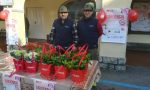 Gli alpini in piazza contro la Sclerosi multipla