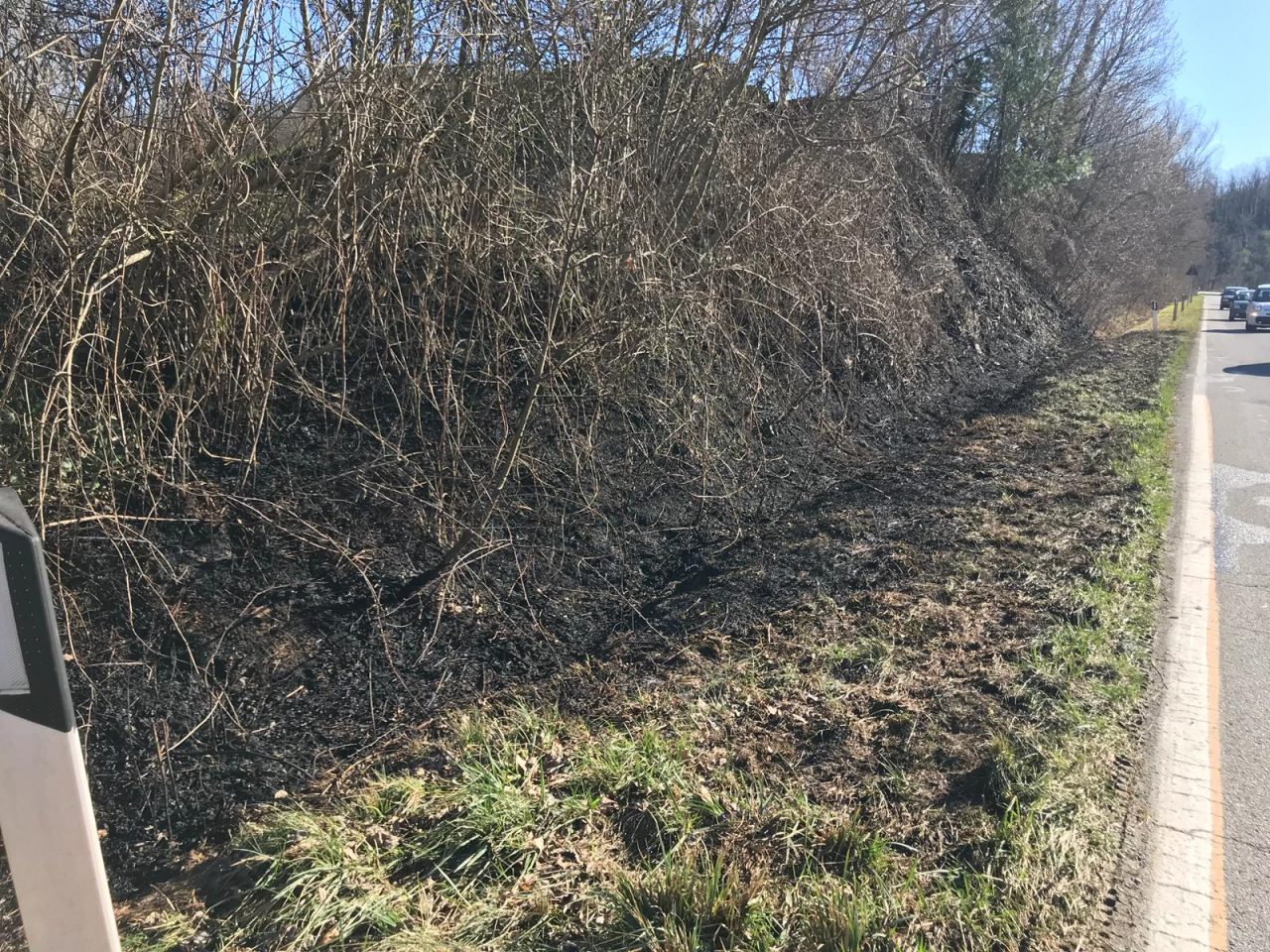 Doppio incendio, in fiamme sterpaglie e un’auto alla Madonna del Bosco FOTO