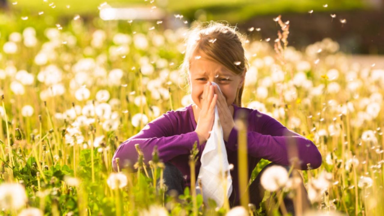Raffreddore o rinite allergica? Il ruolo del farmacista
