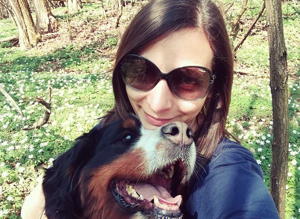 Ammazzano il cane per rubare il camper