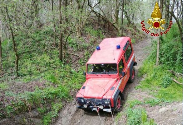 Soccorritori mobilitati alla ricerca di un pittbull