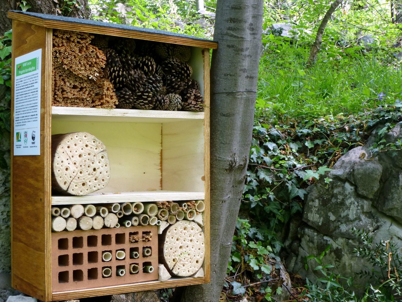 Cooperativa La Popolare – CONAD con WWF Lecco per la biodiversità