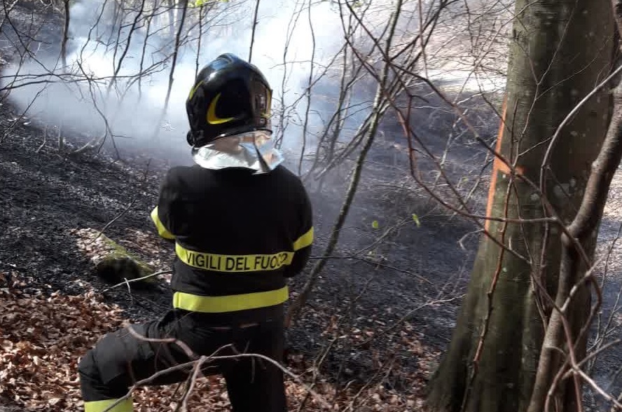 Incendio boschivo a Cusino FOTO