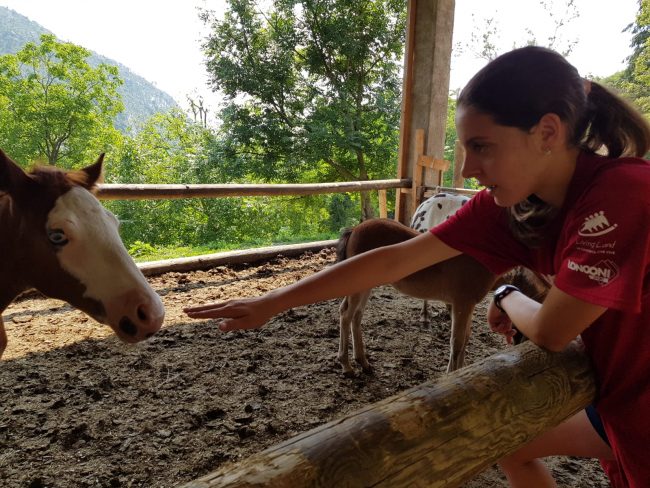 Estate in agriturismo o lavorando per la comunità: ecco le proposte per i giovani lecchesi