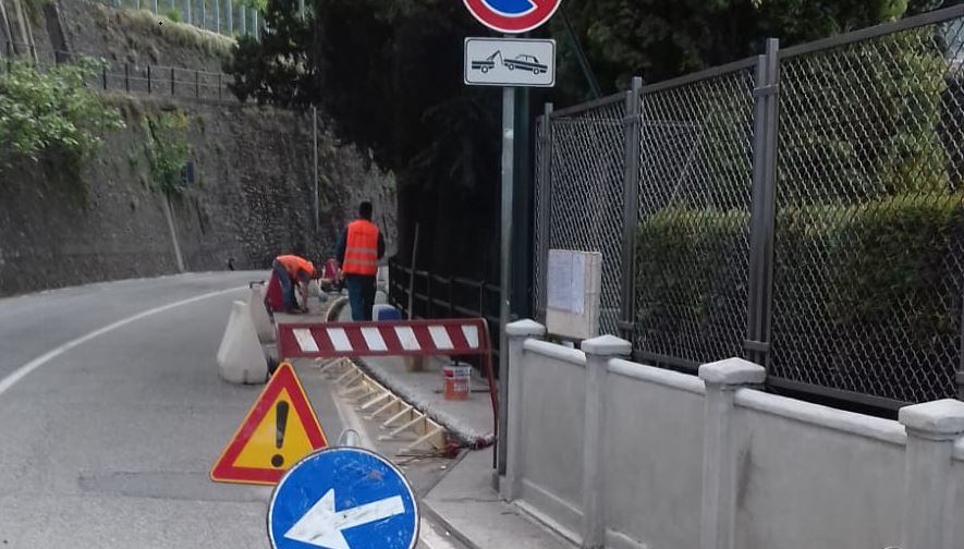 Gli alberi “invadono” il marciapiede: interviene il Comune