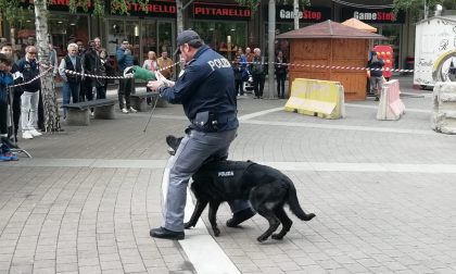 Lecco: ecco come un cane della Polizia sventa uno scippo FOTO E VIDEO