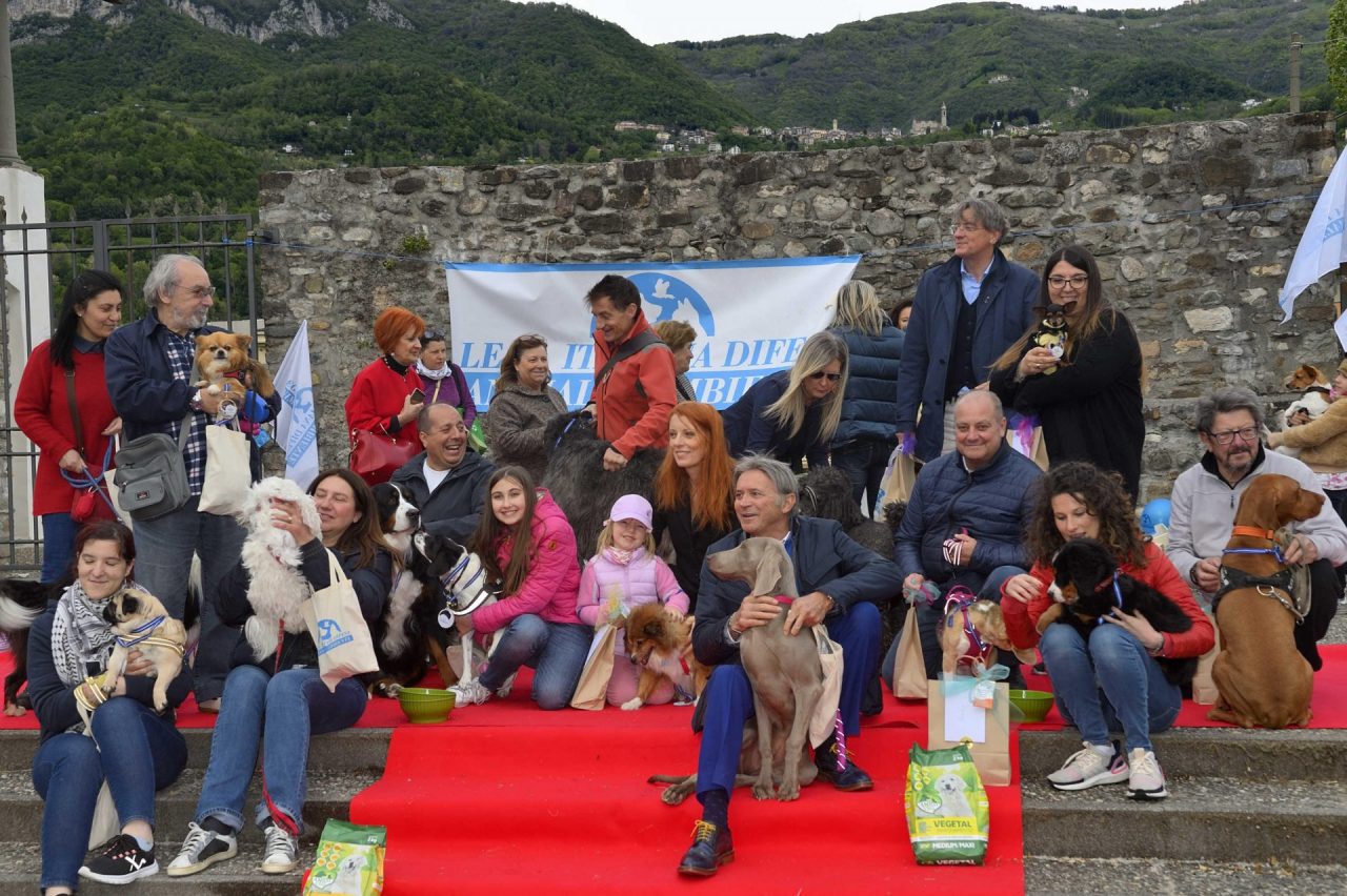 Dog show, che successo! Ecco tutti i cani in passerella FOTO