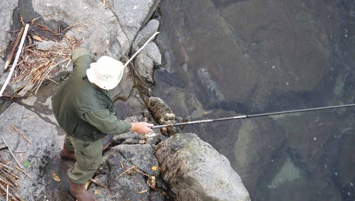 Beccati quattro pescatori “di frodo”