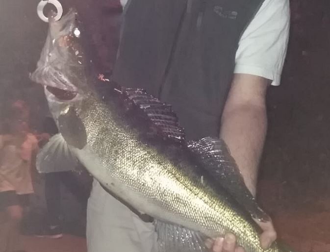 Pescato nell’Adda un luccioperca di quasi 5 chilogrammi