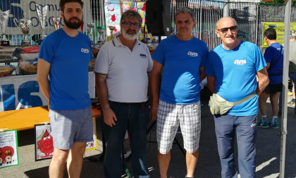 Domenica 15 giugno la 42^ edizione della Camminata Avis Oggiono