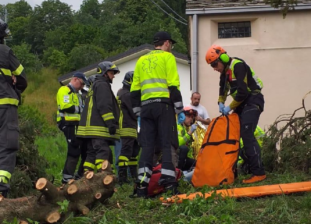 Cade mentre sta tagliando una pianta: è grave un 48enne